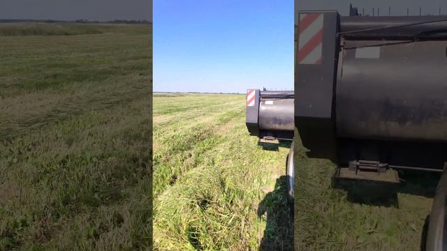 Мещера Е403. Весточка с полей смотреть онлайн