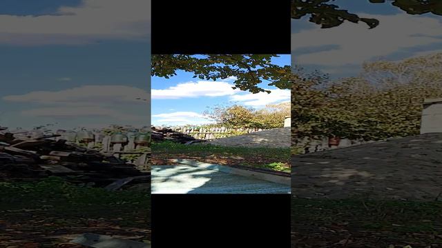 1000006277.mp4 смотреть онлайн