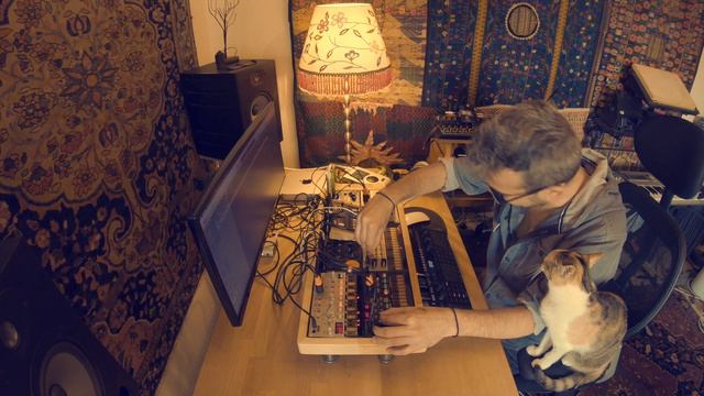 Stefan Torto - Dorian Cats (analog live) смотреть онлайн