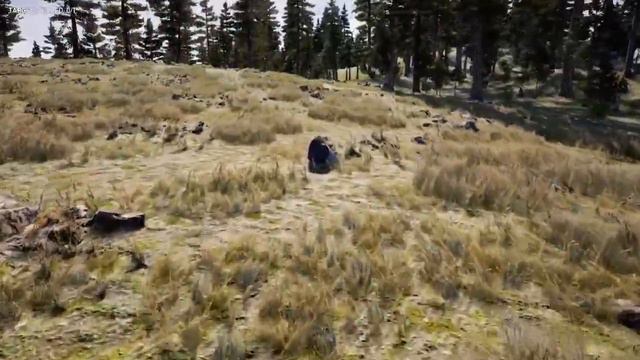 Far Cry 5 Turkey Hunt Gone Wrong Mountain Lion Attack смотреть онлайн