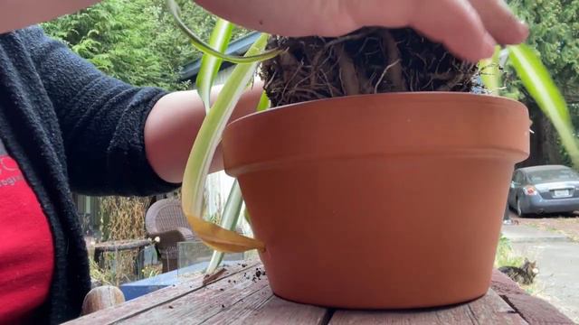 Sunday Sum-up | Three Reviews And A Whining Wino... | October 9th, 2022