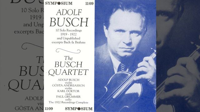 21 Hungarian Dances, WoO 1 (arr. J. Joachim for violin and piano) : No. 20 in D Minor смотреть онлайн