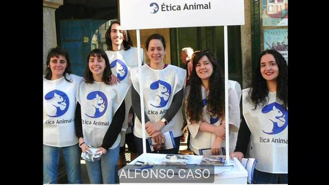 4 Minding Animals Conference смотреть онлайн