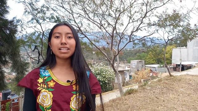 Hablemos sobre la contaminación del medio ambiente смотреть онлайн