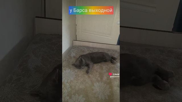 Выходной смотреть онлайн