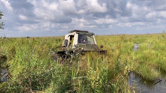 На болото смотреть онлайн