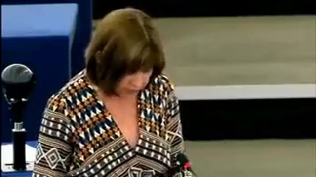 Rebecca Harms - Einreise nach Russland verweigert! смотреть онлайн