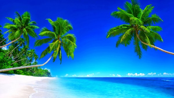 €DEM - Не узнают