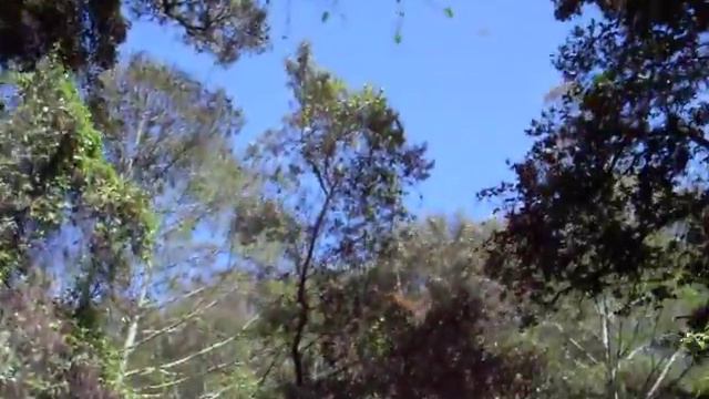 SENDERO EN RETES смотреть онлайн
