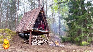 Три ДНЯ В ДИКОМ ЛЕСУ! Навыки ВЫЖИВАНИЯ в дикой природе | Приготовление еды на огне | АСМР