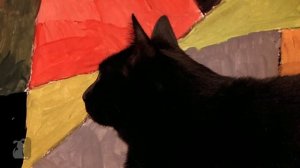 Gotye Dog Parody - Somebody That I Used To Know