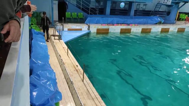 Делф(3) смотреть онлайн