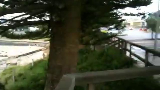 Stalking a Stork at Port Campbell - The Great Ocean Road смотреть онлайн