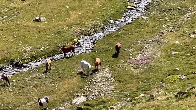 Monte Bianco #courmayeur Val Ferret Lavachey Rif.Bonatti 2026 Pas Entre Deux Saut 2526 Lavachey смотреть онлайн