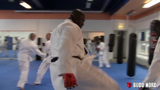 Sport Jujitsu Seminar At Enighet Sportcenter In Malmo, Sweden