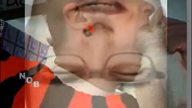 El Tonto Y El Comegatos