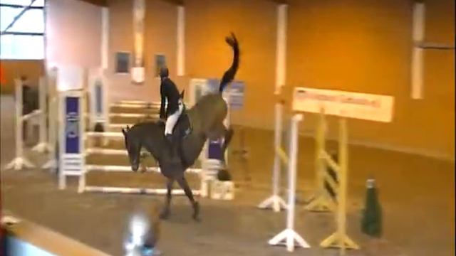 Hilmar Meyer Sporthorses 2015 Letizia Winsen Nov L смотреть онлайн