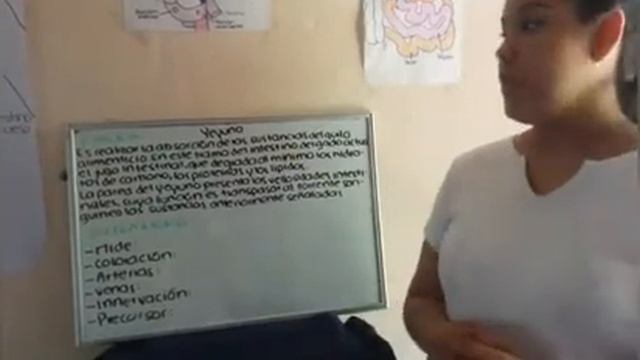 Intestino delgado Rocio guadalupe adame muñoz 2B смотреть онлайн