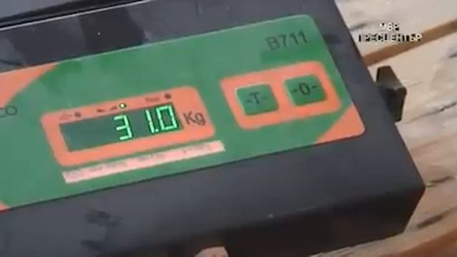 ГДПОБ 12 тона хашиш в Мировяне смотреть онлайн