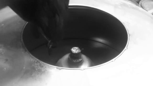 BORIS BIDJAN SABERI TANNERY VIDEO 001 смотреть онлайн