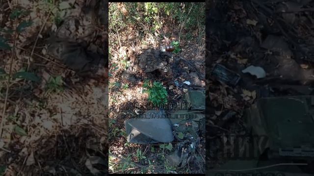 СВО 18+
Микс от свиней 🐷 смотреть онлайн