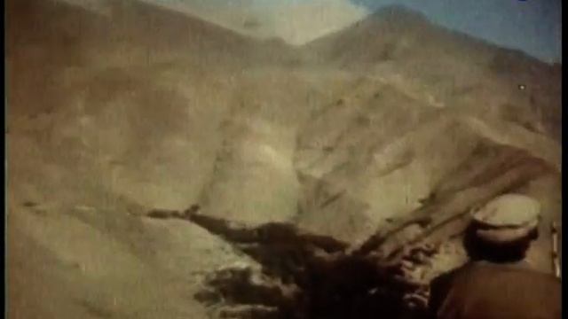 NF AF 2 1989 смотреть онлайн