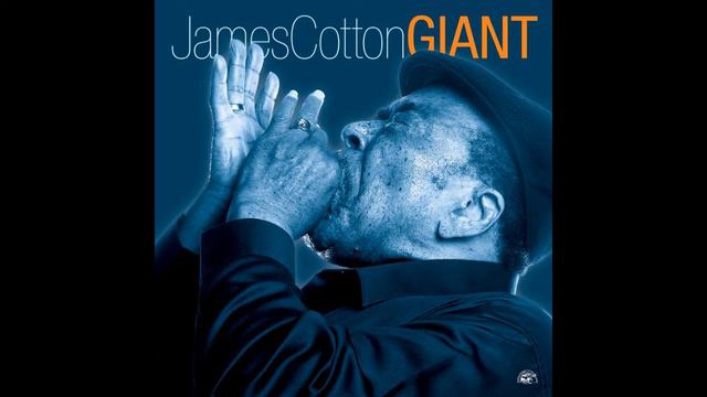 James Cotton - Blues for Koko смотреть онлайн