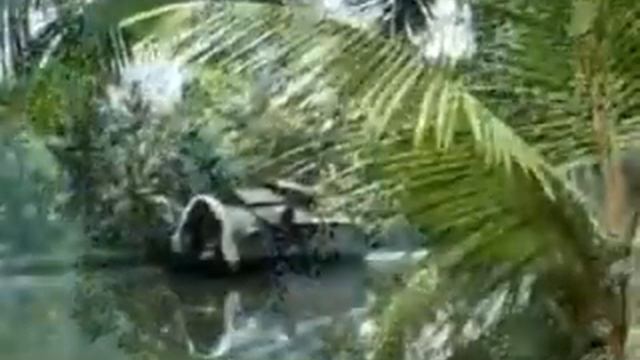 Vailoppilli Xvid