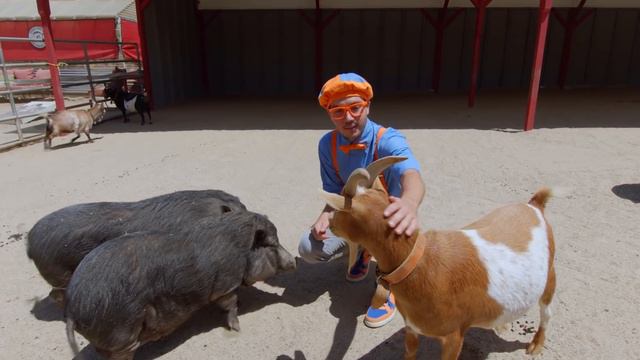 Blippi Learns About Animals At Danny's Farm! | Fun And Educational Videos For Kids