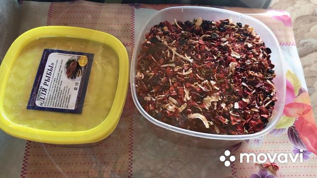 Внучки в гостях😄 купили бассейн . Готовлю плов и жарю рыбу а она живая😉 смотреть онлайн
