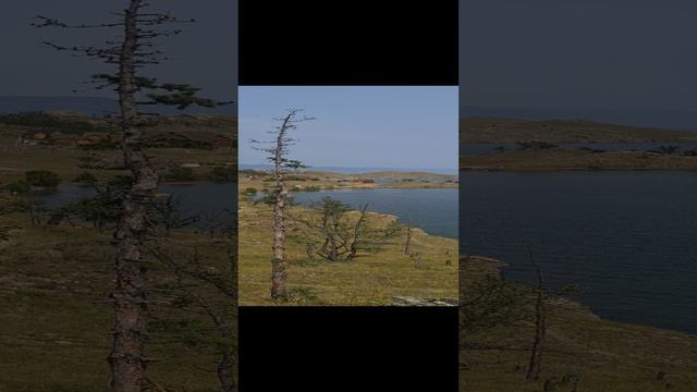 Оксана Владимировна