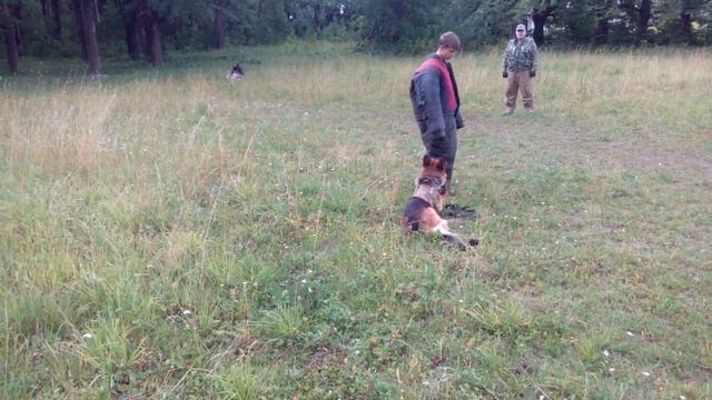 Ульрих. Тренировка