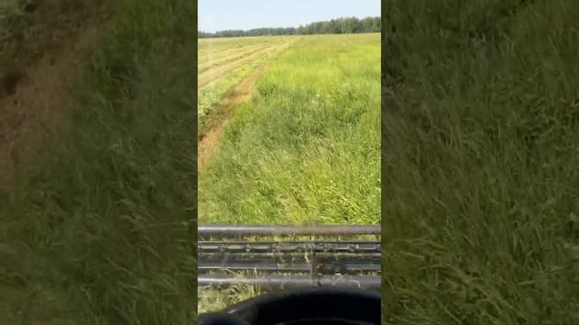 4 июля 2024 г. смотреть онлайн