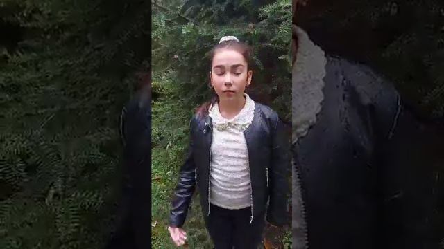 Ивана Йорданова, 11 г., ОУ „Св. Климент Охридски“, гр. Попово смотреть онлайн