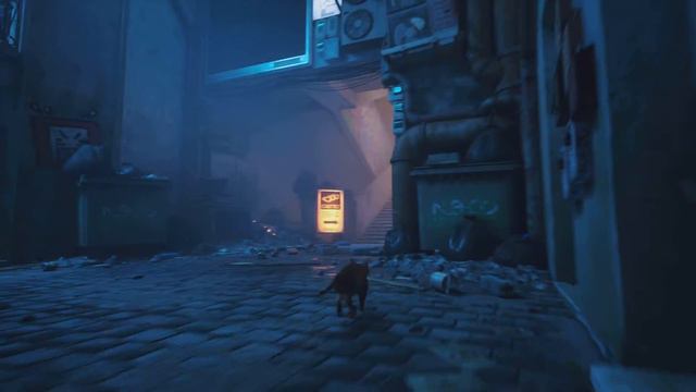 Stray_20220804015638