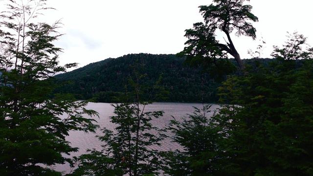 A Jornada Pelos Sete Lagos da Patagônia: Uma Experiência Inesquecível смотреть онлайн