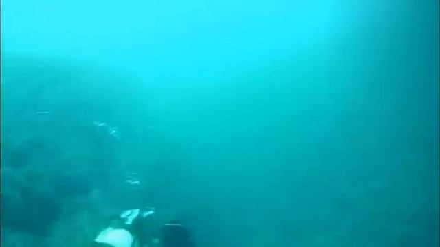 Esame Open смотреть онлайн