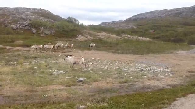 Imported video (1) смотреть онлайн