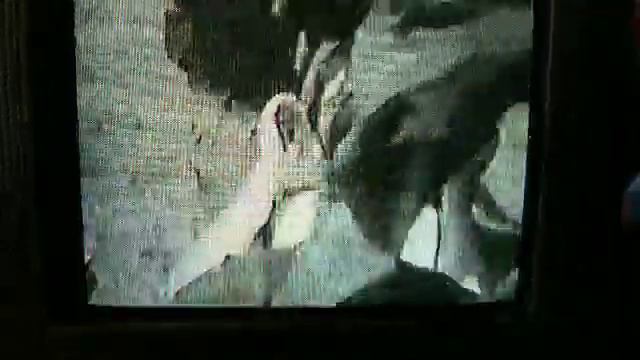 Michael D Echanis in action 2 (bed of nails) смотреть онлайн