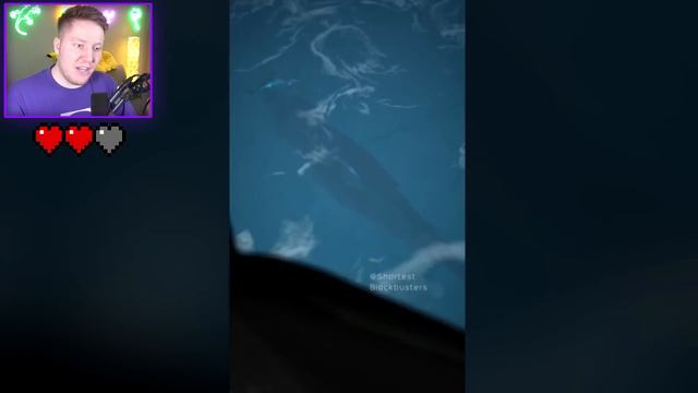 Самые СТРАШНЫЕ ТИК-ТОКИ в Мире?! смотреть онлайн
