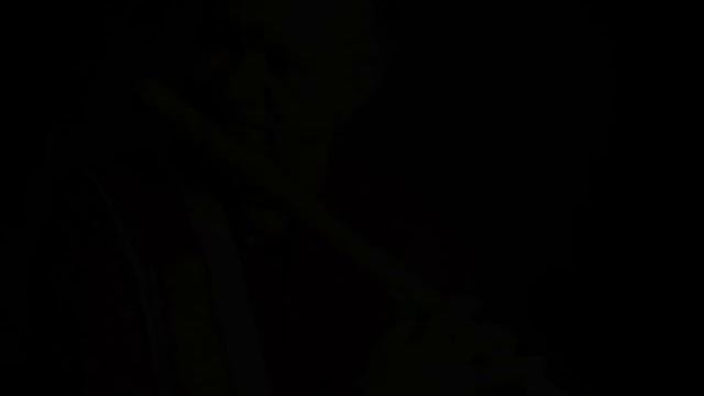 Pt. Hariprasad Chaurasia - Raga Chandrakauns (Pseudo Video) смотреть онлайн