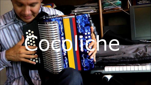 Luis Miguel Fuentes  Cocoliche  Porro Vallenato (2016)