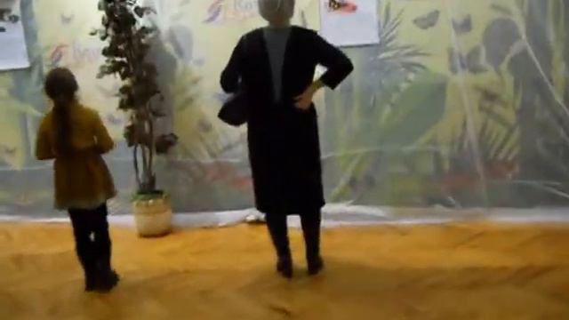 2014 02 18 на выстаке тропических бабочек