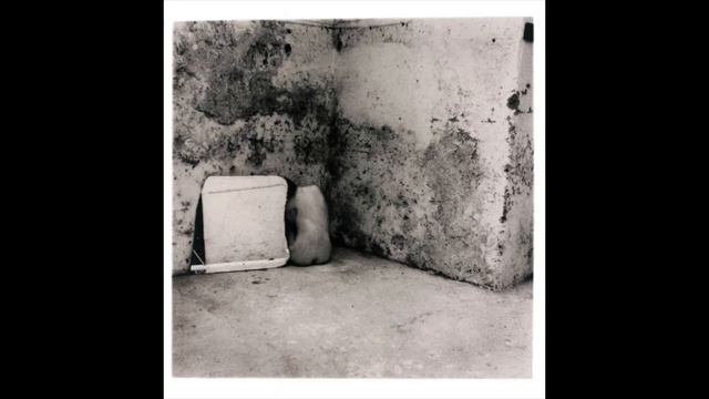 Francesca Woodman смотреть онлайн