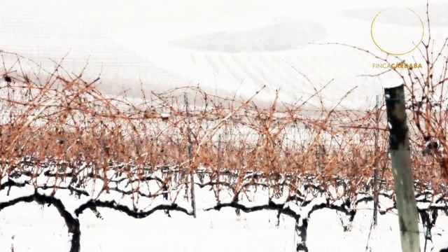 FINCA CÁRDABA EN INVIERNO. смотреть онлайн