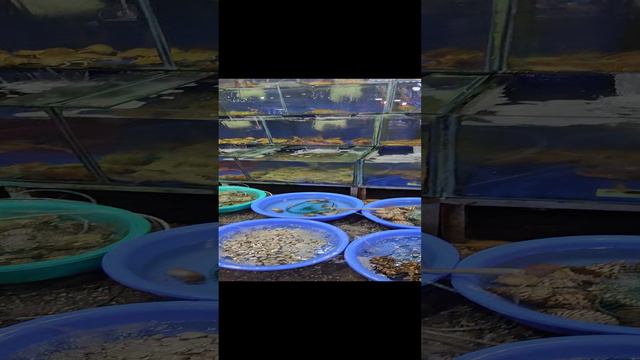Вьетнам.Фукуок.Ночной рынок.Морепродукты смотреть онлайн