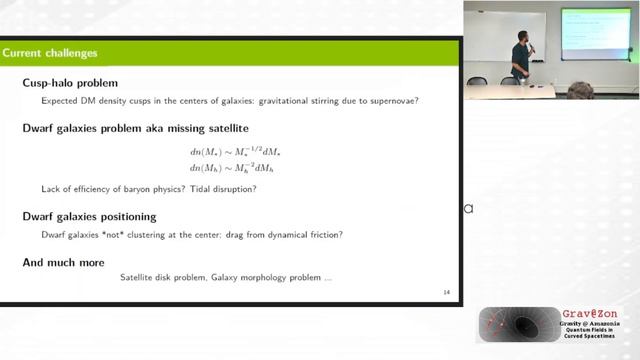 Bosonic Dark Matter (Part 1) - Dr. Lorenzo Annulli - VIII AWGAM смотреть онлайн