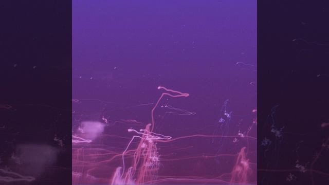 Freeman смотреть онлайн