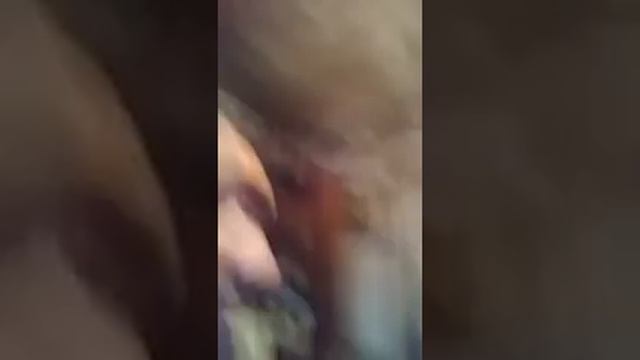 Vlado, Igor a Anton volajú Drahušku domov #funny #vines #odds #laugh #trend #world #people смотреть онлайн