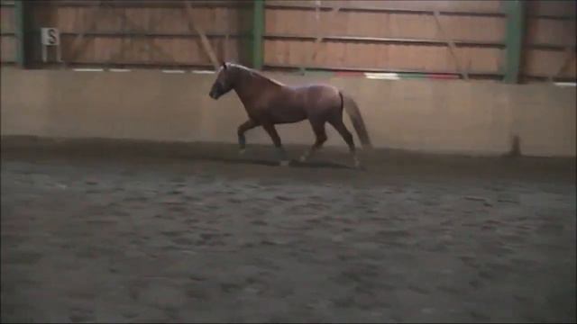 Tosi-Epeli irtohypytys 27.9.2014 смотреть онлайн